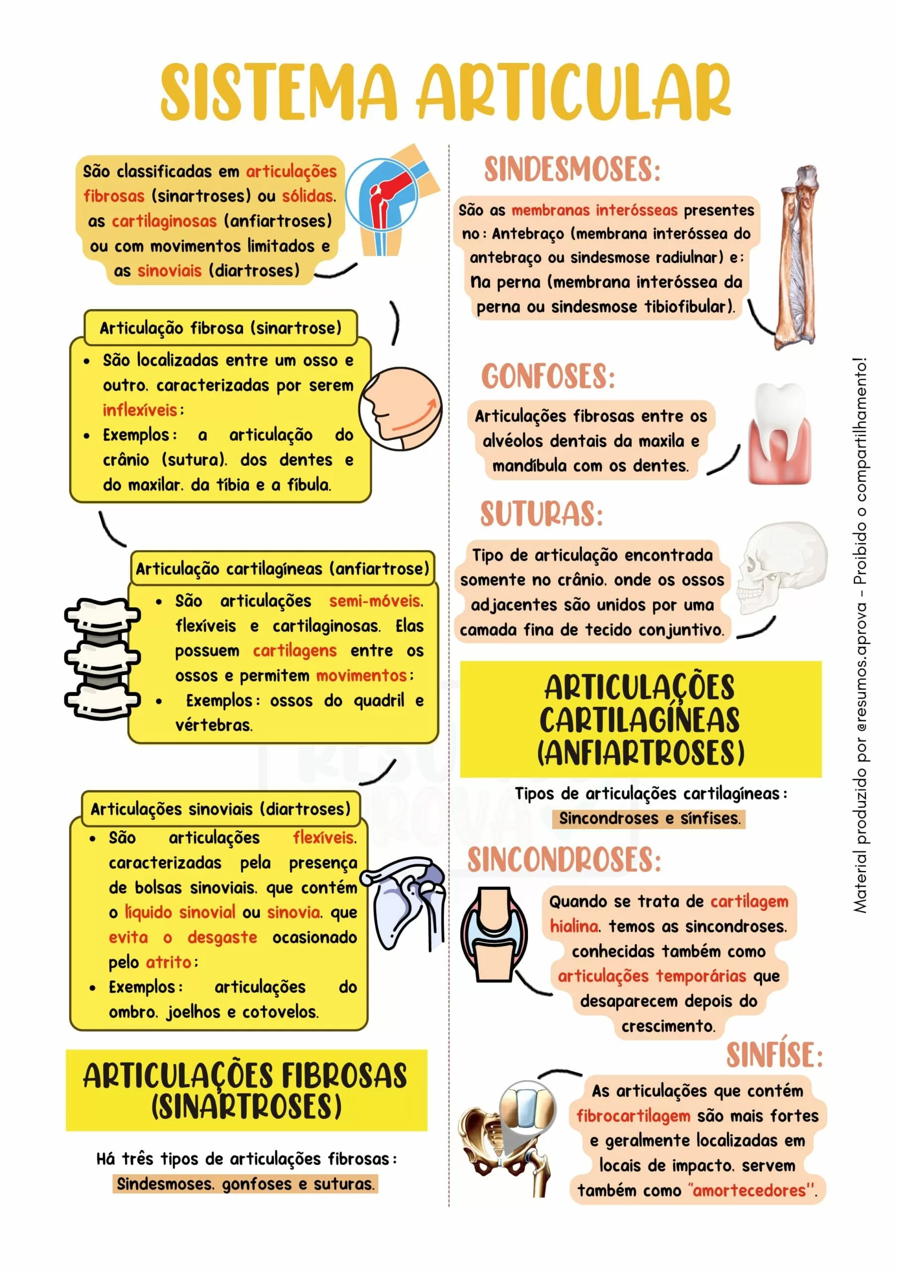 Amostra 2