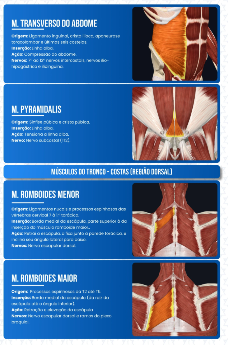 Reto Abdominal – página do ebook