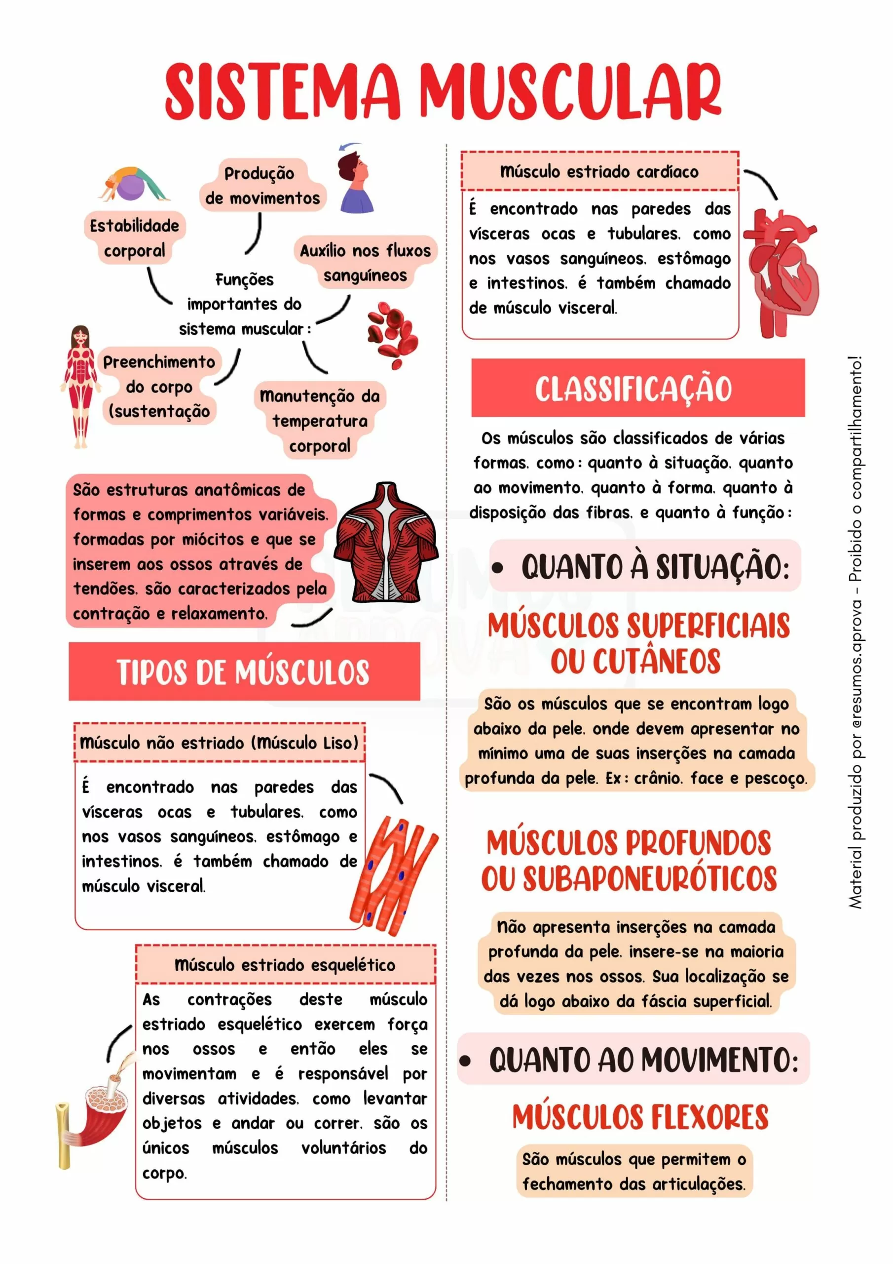 Amostra 4