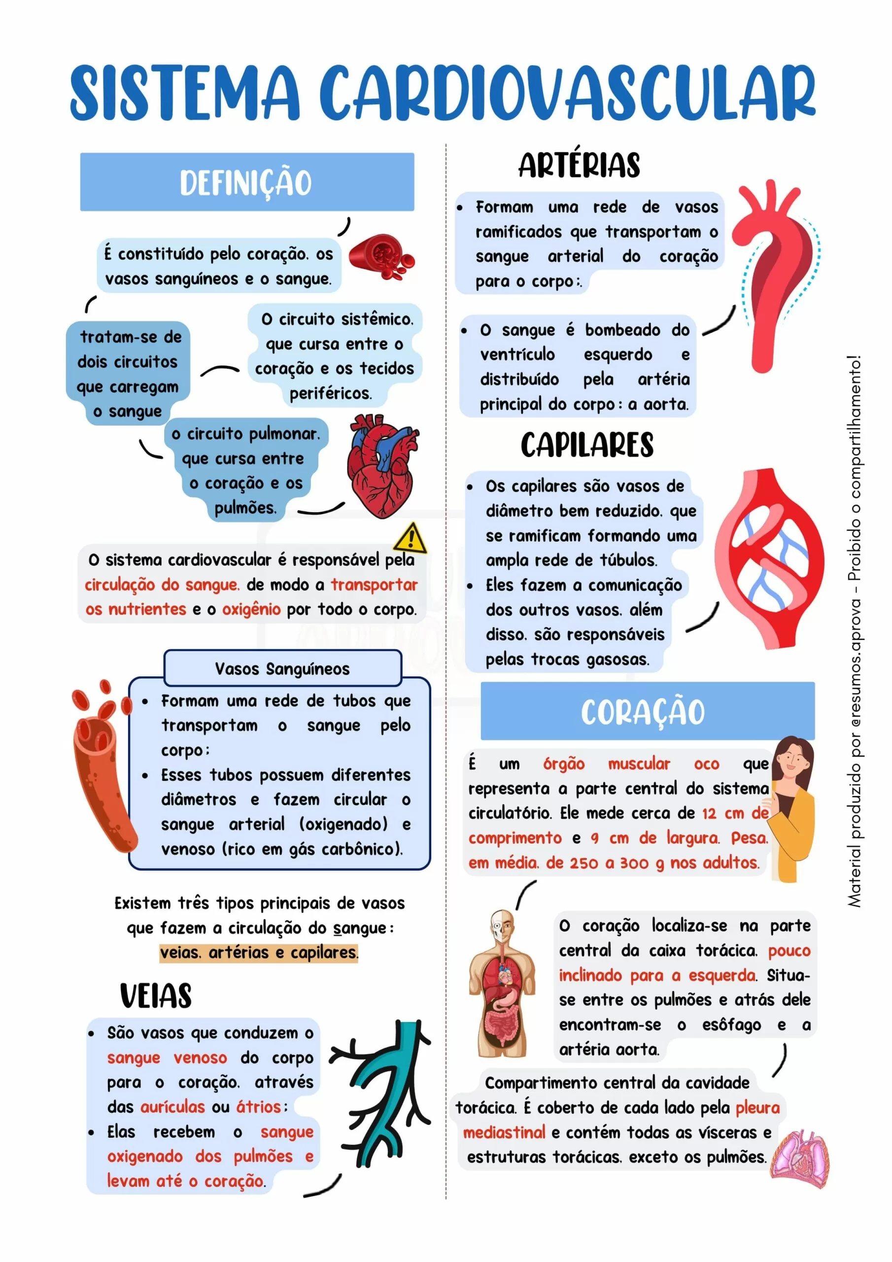 Amostra 5