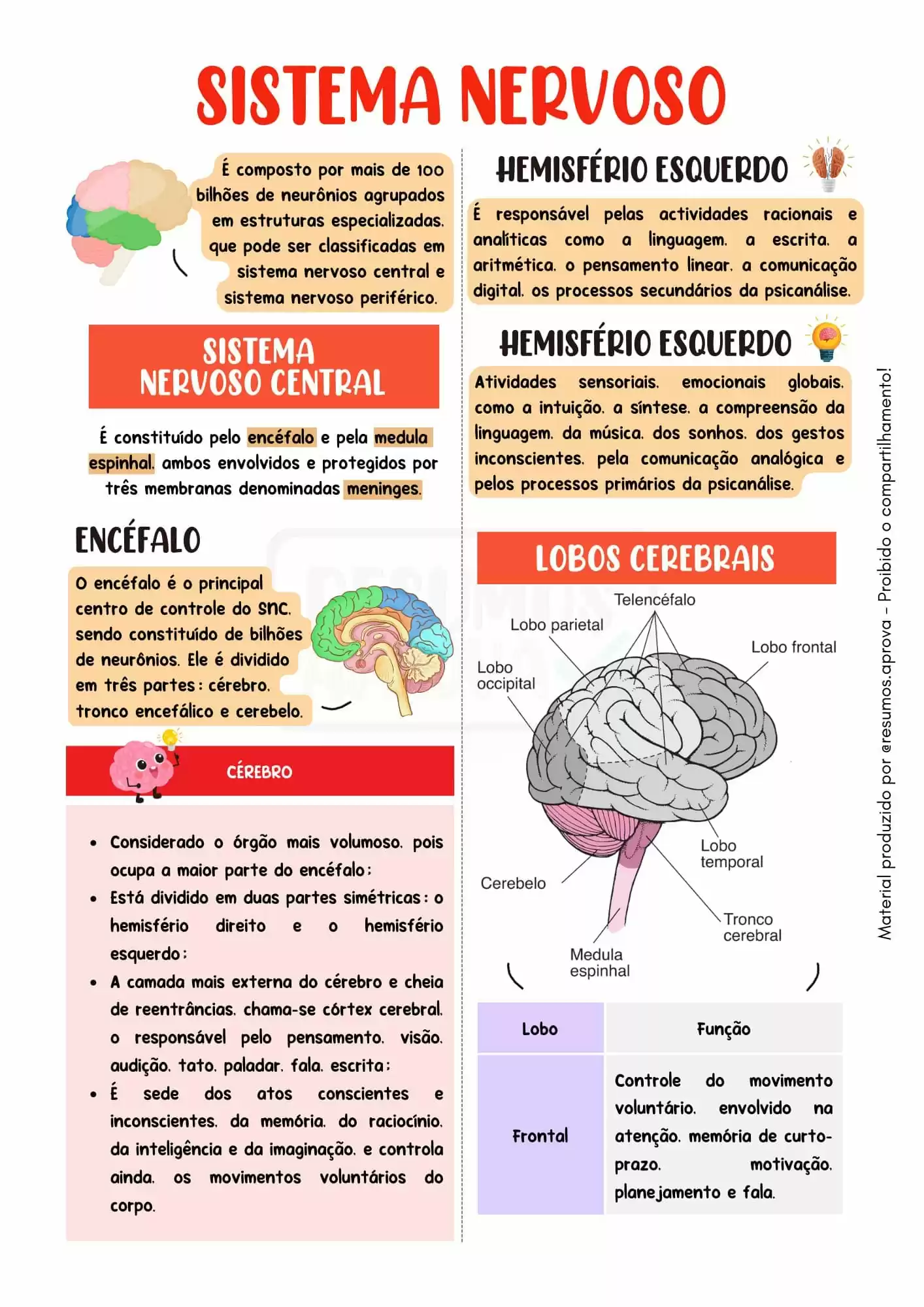 Amostra 6