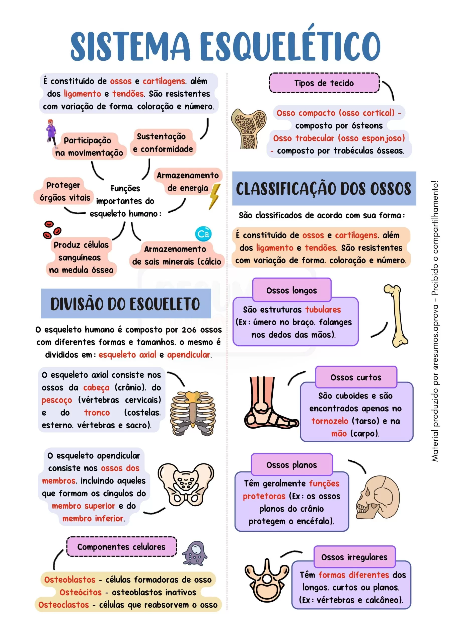 Amostra 3