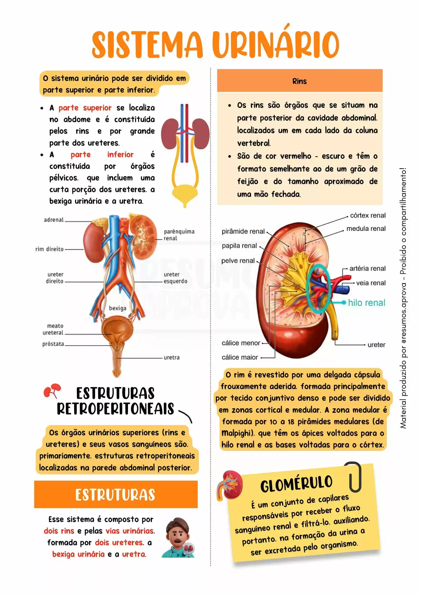 Amostra 7