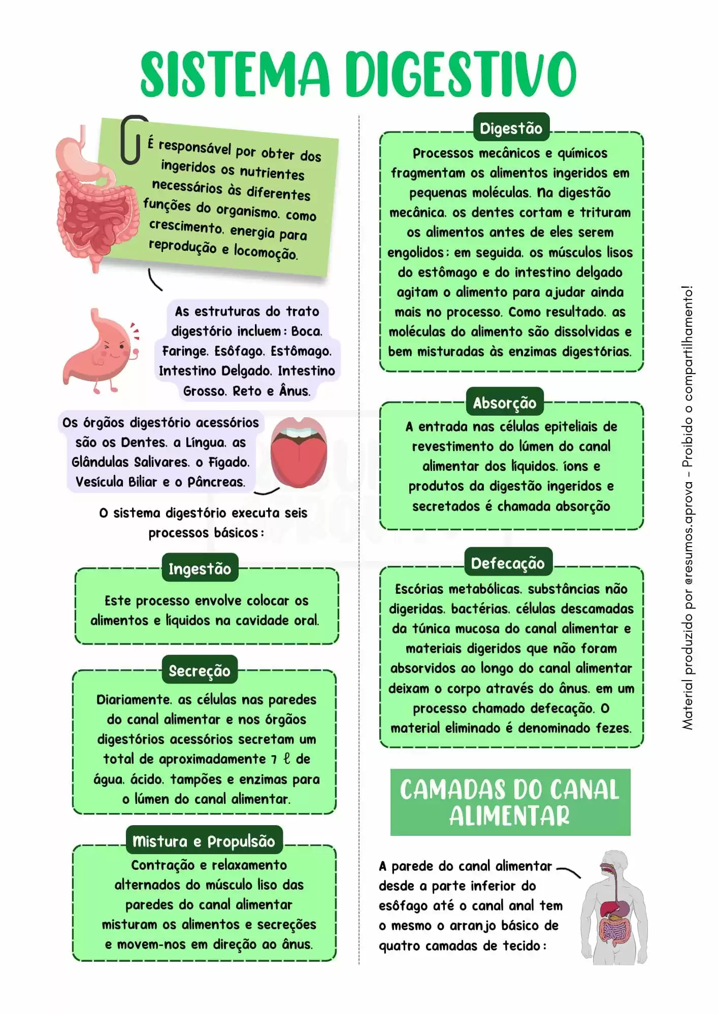 Amostra 8