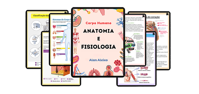 Resumo de Anatomia e Fisiologia – Alan Aleixo