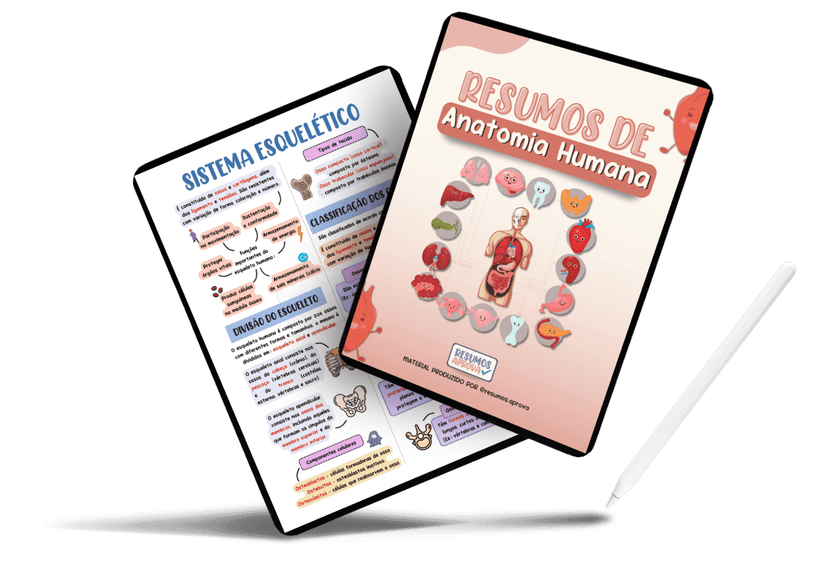 Resumos de Anatomia Humana – tablets com o material