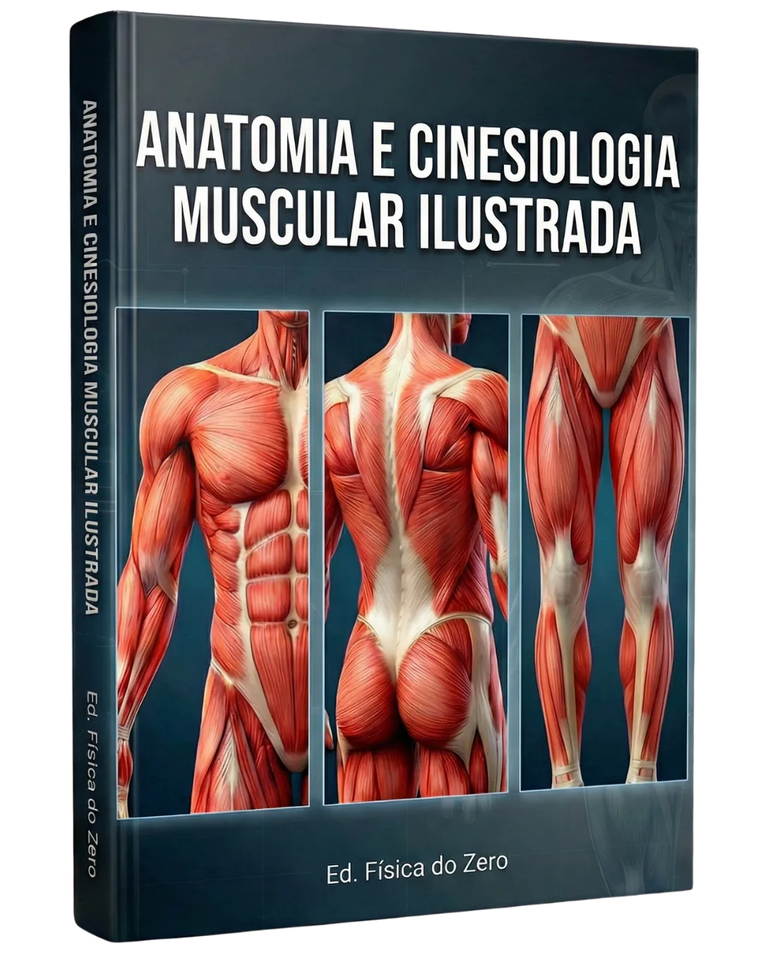 Livro Anatomia e Cinesiologia Muscular Ilustrada