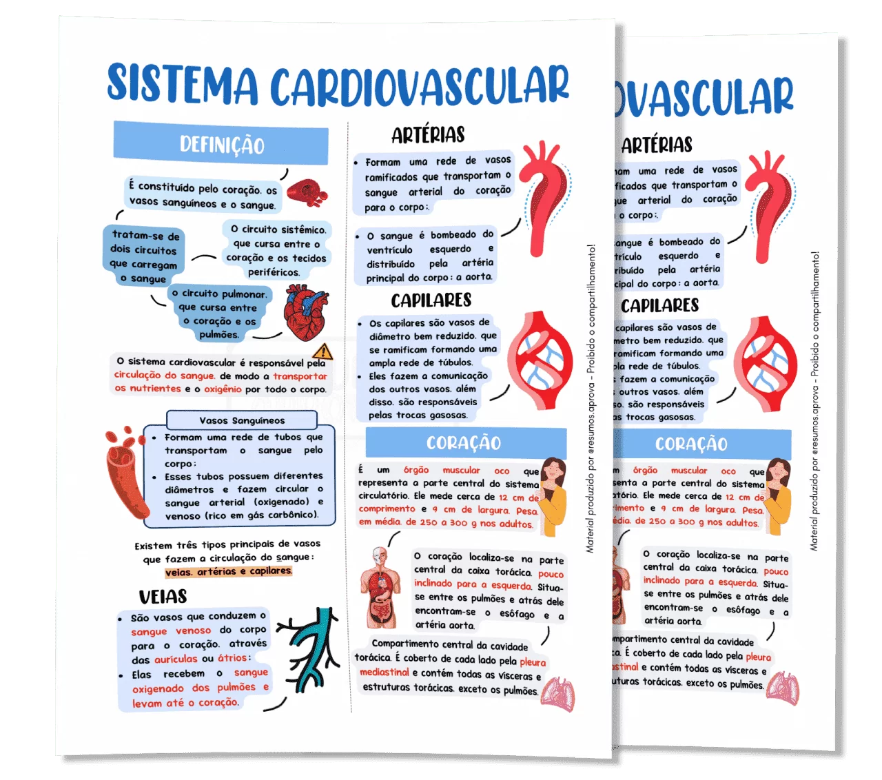 Amostra do material – Sistema Cardiovascular